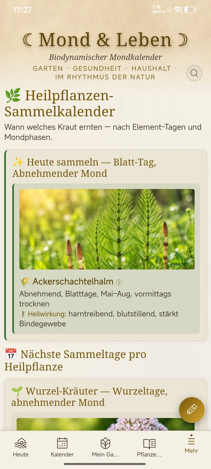 Heilpflanzen-Sammelkalender