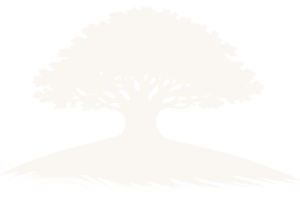 Eichenberg Verlag Logo